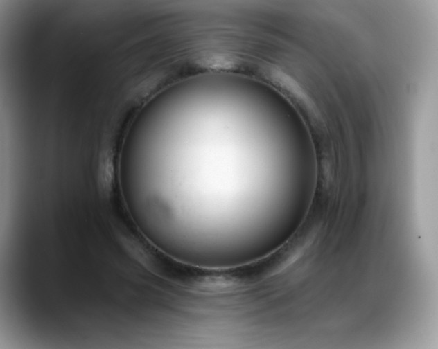 X0000088920541200706081401