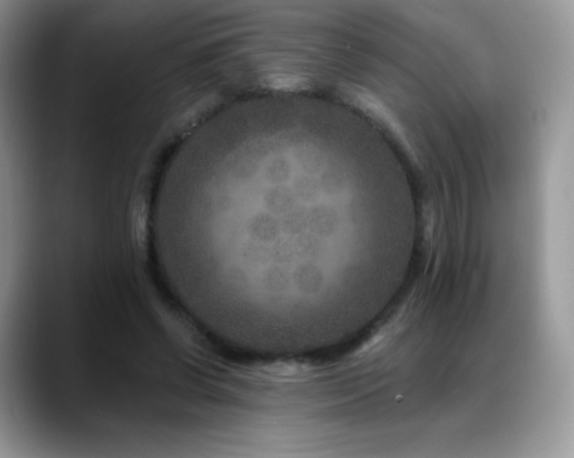 X0000088920542200706081401