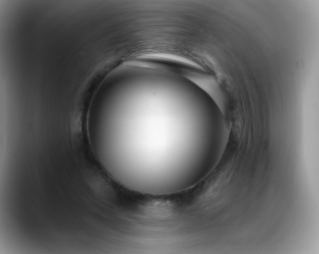 X0000088920543200706081401