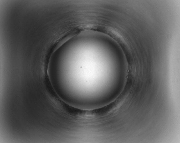 X0000088920546200706081401