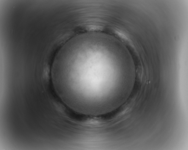 X0000088920550200706081401