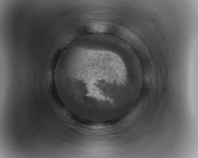 X0000088920551200706081401