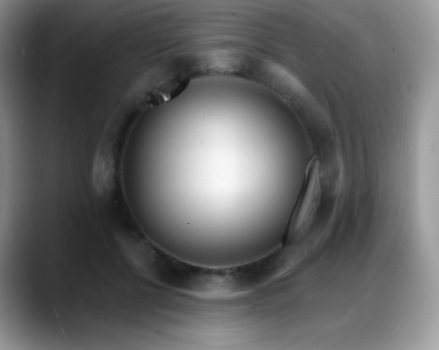 X0000088920552200706081401