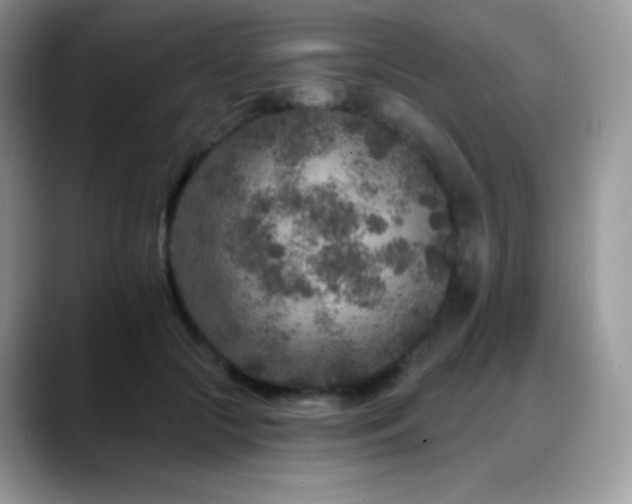 X0000088920553200706081401