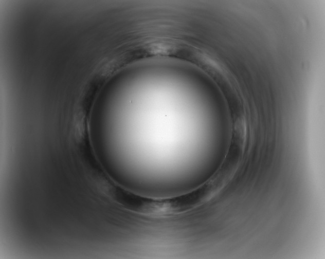 X0000088920554200706081401