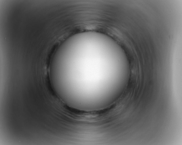X0000088920555200706081401