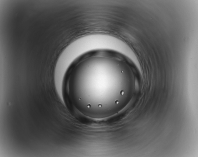 X0000088920556200706081401