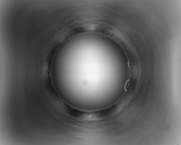 X0000088920557200706081401