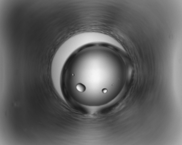 X0000088920558200706081401