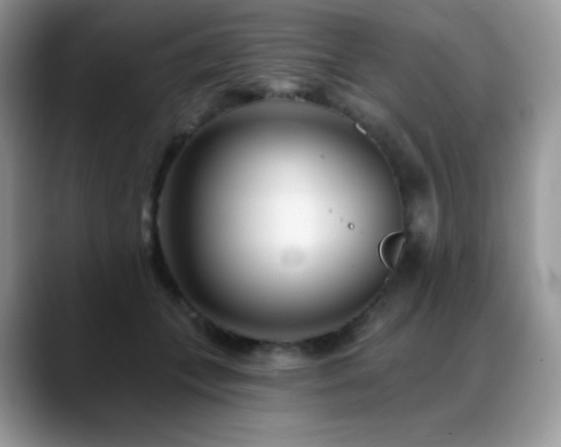 X0000088920559200706081401