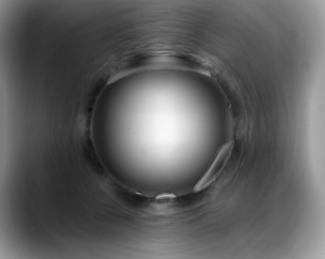 X0000088920560200706081401
