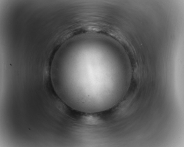 X0000088920561200706081401