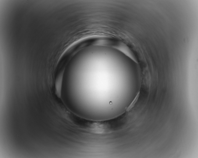X0000088920562200706081401