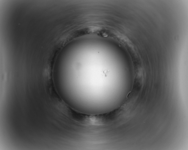 X0000088920565200706081401