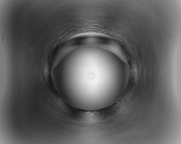X0000088920566200706081401