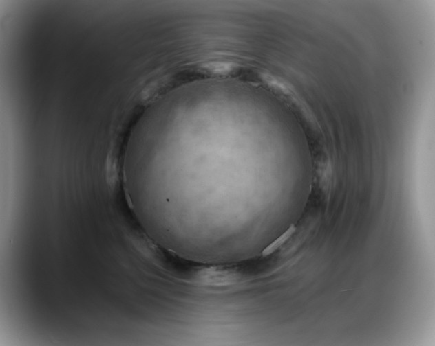 X0000088920568200706081401