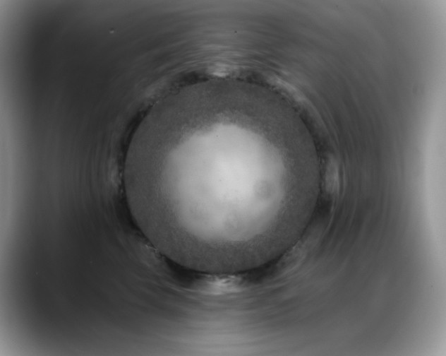 X0000088920569200706081401