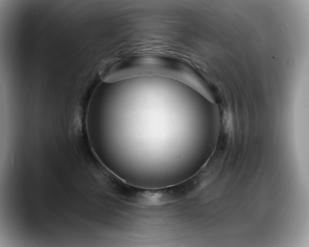 X0000088920570200706081401