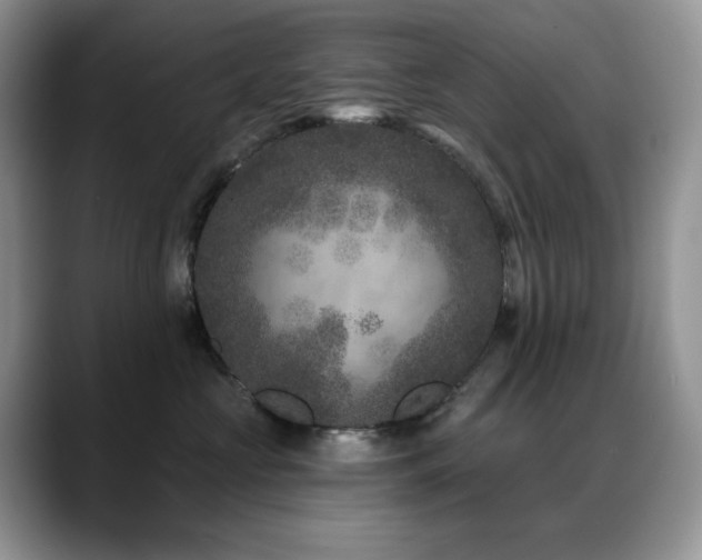 X0000088920573200706081401