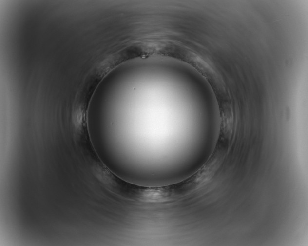 X0000088920574200706081401