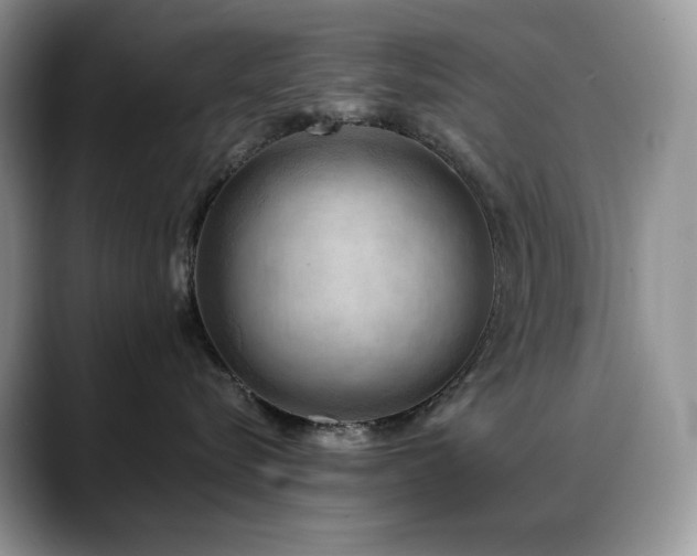 X0000088920576200706081401