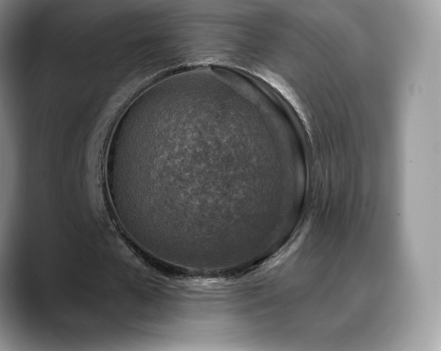 X0000088920577200706081401