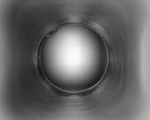 X0000088920578200706081401