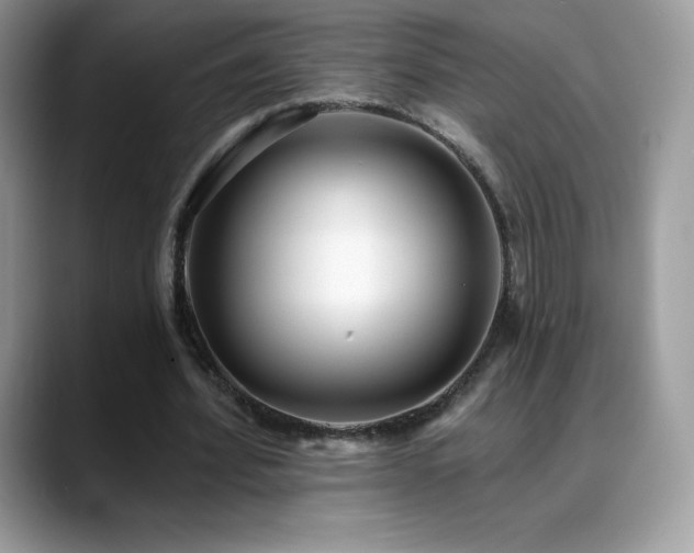 X0000088920580200706081401