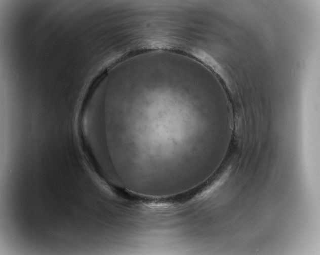 X0000088920581200706081401