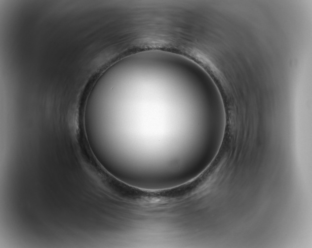 X0000088920582200706081401