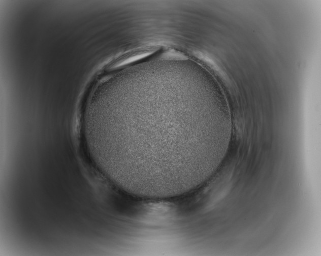 X0000088920583200706081401