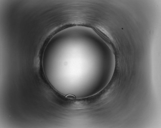 X0000088920584200706081401
