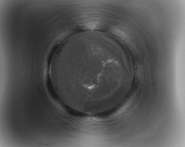 X0000088920590200706081401