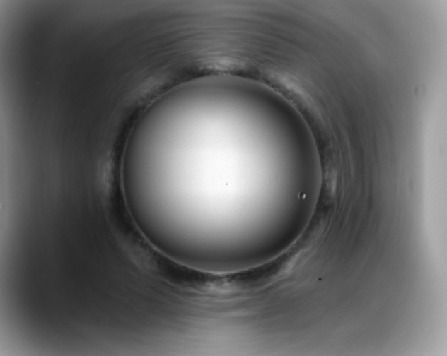 X0000088920591200706081401