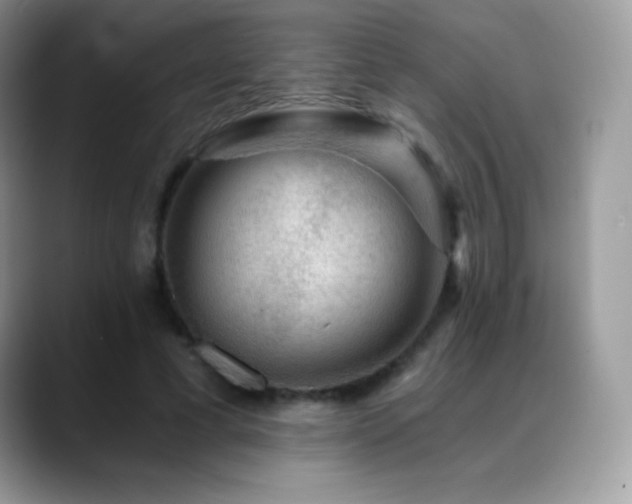 X0000088920593200706081401