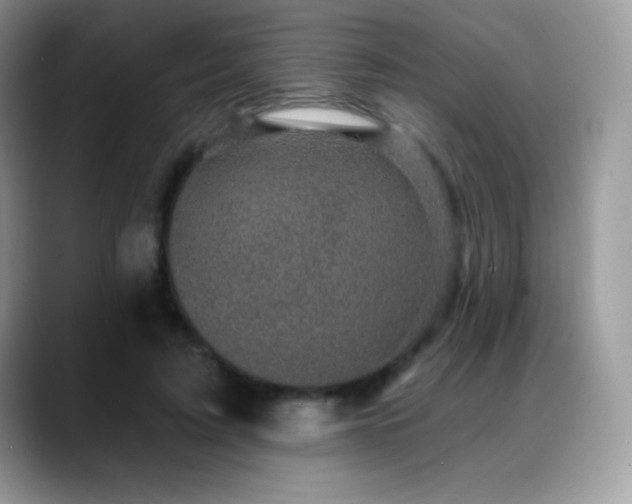 X0000088920595200706081401