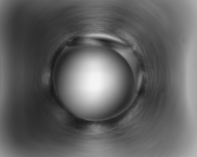 X0000088920596200706081401