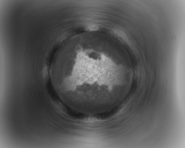 X0000088920598200706081401