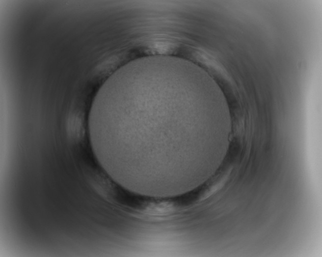 X0000088920599200706081401