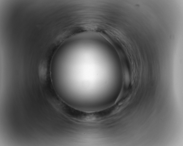 X0000088920600200706081401