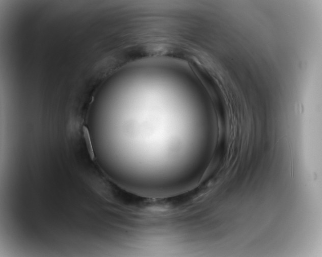 X0000088920601200706081400