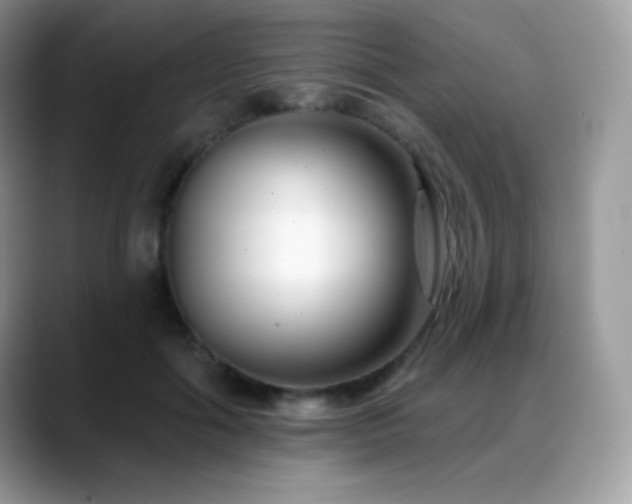 X0000088920602200706081400