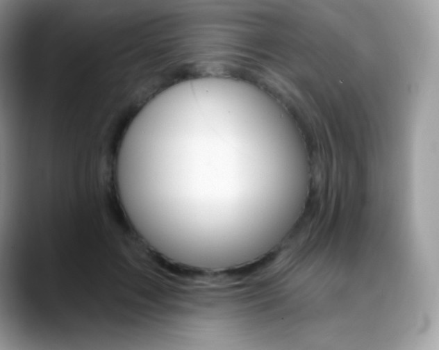 X0000088920603200706081400
