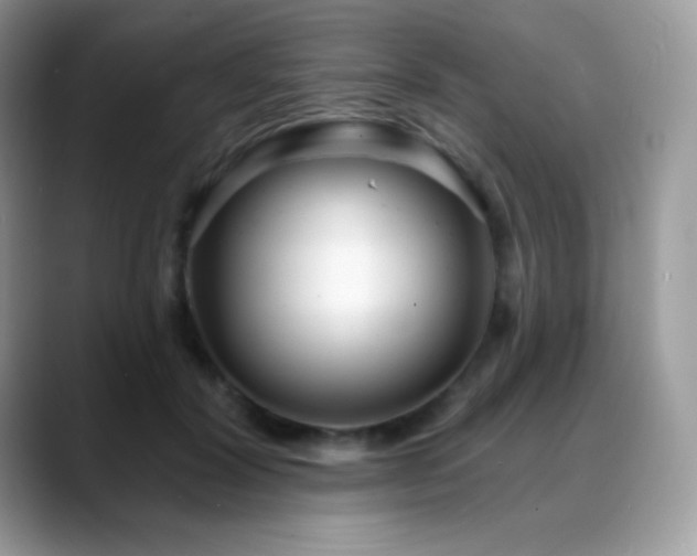 X0000088920604200706081400