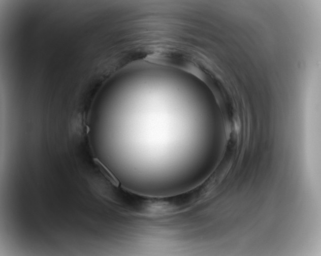 X0000088920605200706081400