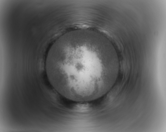 X0000088920606200706081400