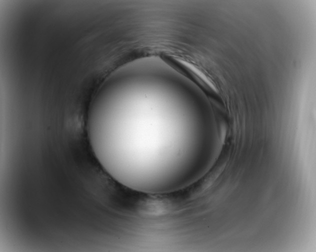X0000088920608200706081400