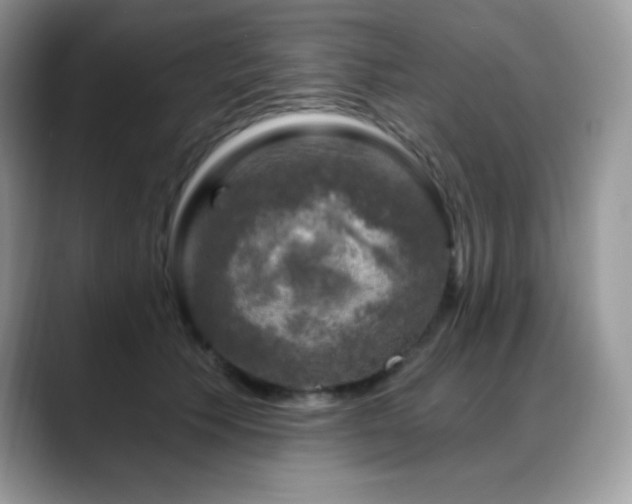 X0000088920609200706081400