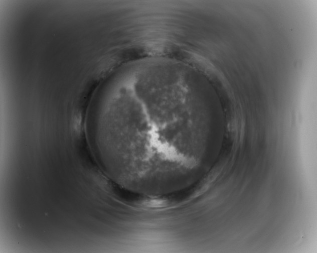 X0000088920610200706081400