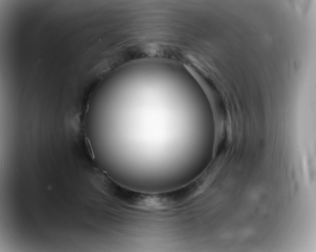 X0000088920611200706081400